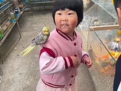 -李村大集