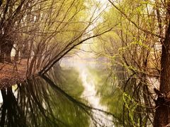 -长白岛森林公园