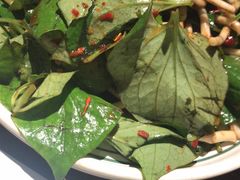 版纳拌折耳根-云海肴·汽锅鸡·云南菜(领展购物广场·中关村店)