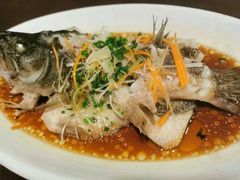 -红樱桃月嫂育婴师(徐汇总店)