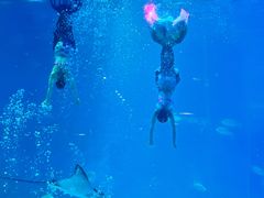 -烟台海昌鲸鲨海洋公园