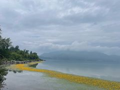 -西昌邛海湿地