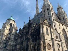-斯蒂芬主教座堂(Stephansdom)