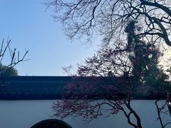 -岳王庙
