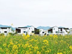 -东梓关景区村庄