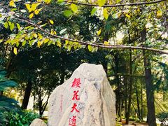 -武汉大学-樱园