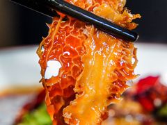 -蕉棠·鸽子餐厅(柳州万象城店)