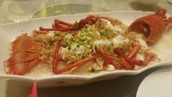-无锡君来洲际酒店·宴会厅