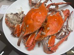 -高佳庄·舟山海鲜(海景旗舰店)