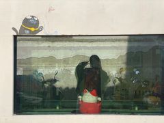 -喵屿·大理花园猫咖