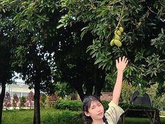 -万顷园艺世界