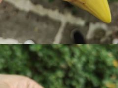 -七仙岭温泉国家森林公园