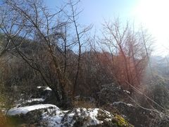 -秦岭风景区