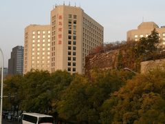 -三里屯东五街银杏大道