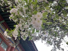 -西安碑林博物馆