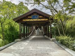 -长广溪湿地公园