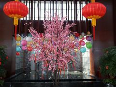 android_upload_pic-苏州香山国际大酒店