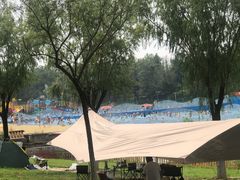 -青龙湖公园