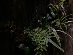 -馬蘭花開(车站大道店)