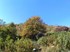 -北京西山国家森林公园