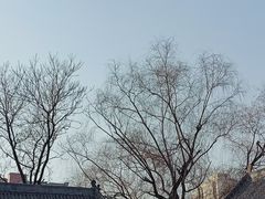 -文瀛公园