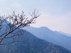 -北京鹫峰国家森林公园