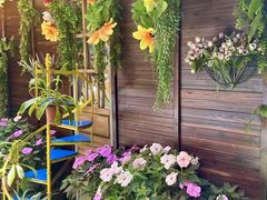 -月亮眼花园餐厅书吧酒吧