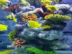 -水上乐园·欢乐世界