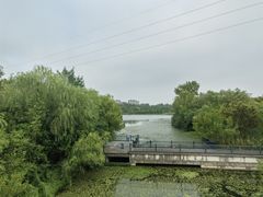 -昆山城市生态森林公园