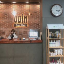 -ODIN 奥丁形象设计 