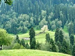 -新疆那拉提国家旅游度假区