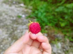 -虹口漂流