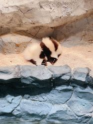 -Zoolung Zoolung动物主题公园(海信广场店)