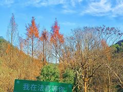 -杭州上天竺法喜讲寺