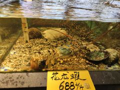 -顺德了能馆(虎门店)