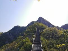 -大岭沟猕猴桃谷风景区