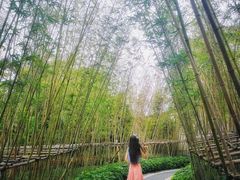 景点-美的鹭湖森林度假区