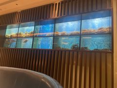-珍宝海鲜JUMBO Seafood(尚嘉店)
