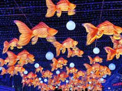 -海合安成都极地海洋公园
