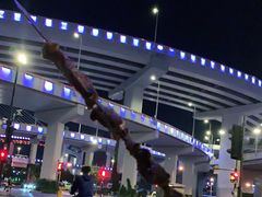 -新疆阿力烧烤
