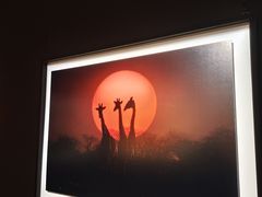 -罗红摄影艺术馆