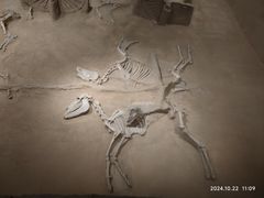 -洛阳周王城天子驾六博物馆