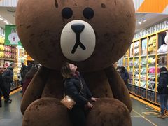 -line friends(明洞旗舰店)