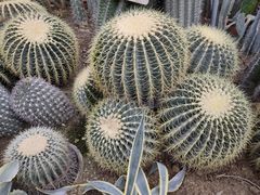 -国家植物园南园