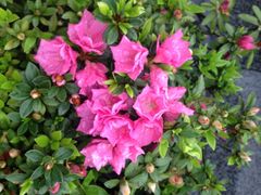 iphone_upload_pic-宁波九龙湖开元度假村