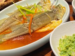 -前海沿·青岛菜(五四广场永旺店)