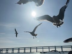 -星海广场