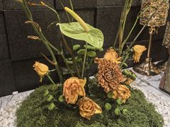 -月下料理(楷林IFC店)