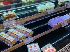 -蒲公英(五里店)