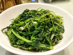 -陈厨(新苑小区店)